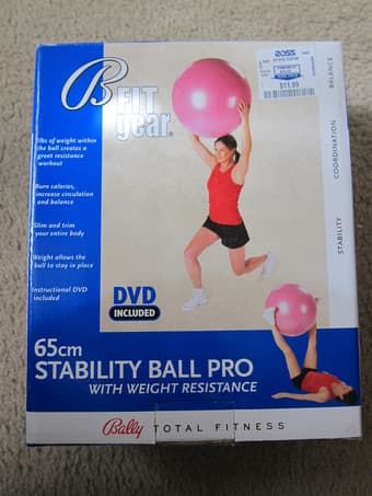 65cm professional stability ball 2
