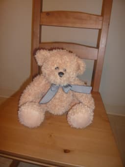 wooden toys + car + Teddy(new) - $14 4