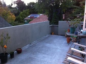 Looking for Plants and Pots !! 1