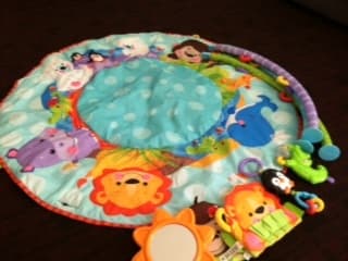 Fisher price's Musical Playtime Gym 1