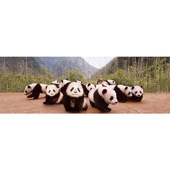 750 PC PANDA PUZZLE FOR SALE $25 1