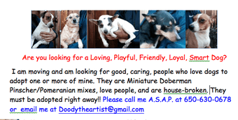 Dogs need good homes 1