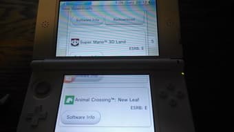 Nintendo 3DS XL Animal Crossing Edition, Like New, w/Games - $320 4
