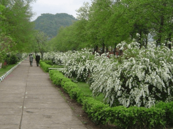 Guy looking for guy to date 1