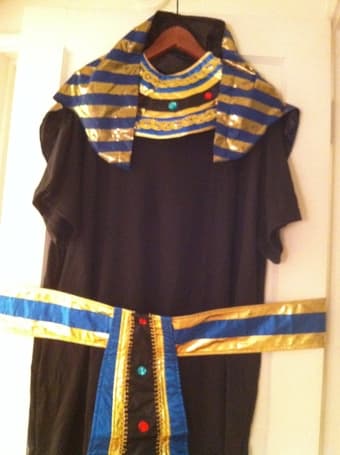 Pharaoh Costume for $15 1