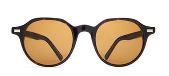 Warby Parker Begley Sunglasses - $30 OBO 1