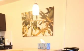 IKEA 2 paintings for sale 4