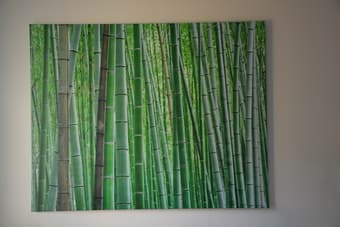 Large Green Bamboo Print 1