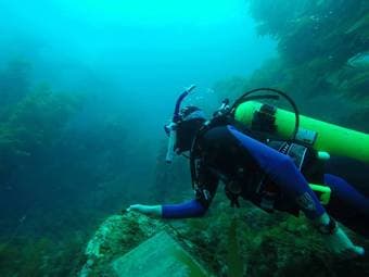 Anyone scuba dive? 1