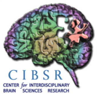 Healthy Adults needed for a research study exploring brain function 1