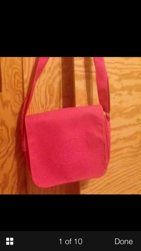 Blue Lacoste Purse $45, pink lacoste purse $15,  necklaces $10 4