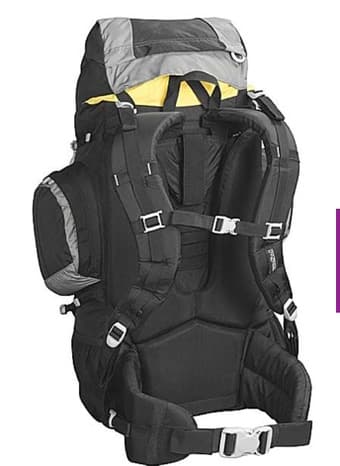 Jansport Indio Hiking/Travel Backpack 3