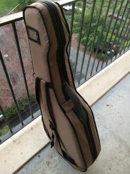 guitar case 2