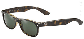 Ray-Ban wayfarers, brand new $100 1