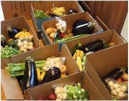 Fresh, Affordable Produce in a Box! 1