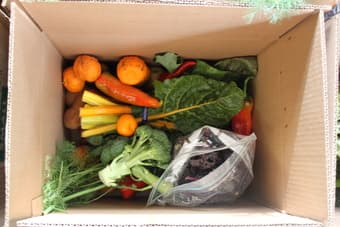 Fresh Produce Box (19.99/box) 1