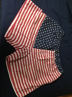 4 Pairs of Chubbies Shorts - Size XL 2