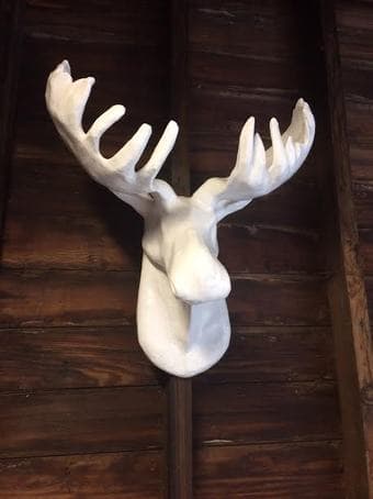 West Elm Moose - $50 1