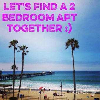 $1300 Looking for mid 20's-30's female roommate! 1