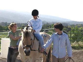 Volunteers Needed for Horse Therapy with Children 1