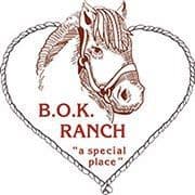 Volunteers Needed for Horse Therapy with Children 2