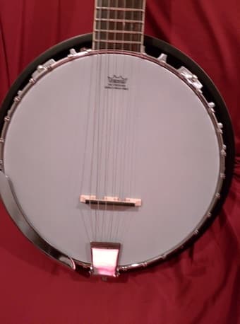 6 string banjo 3