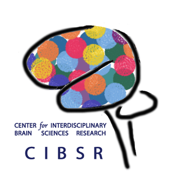 looking for mother-child (age 8-12) pairs for brain imaging study, $30 1