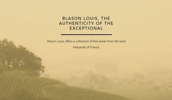 Invite to attend a free luxury French wine tasting session 1