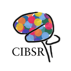 Healthy participants needed for brain imaging and driving experiment 1