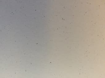 Card Stock and Envelopes - Suitable for DIY Wedding Invitations - $20 2