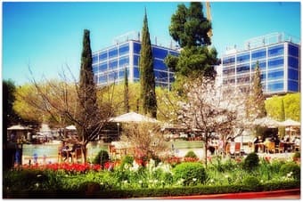 Job Opening: Research Development Administrator, School of Medicine 1