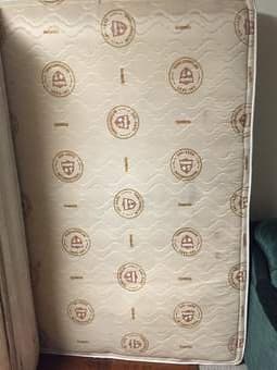 FREE Biopedic Queen Mattress 1