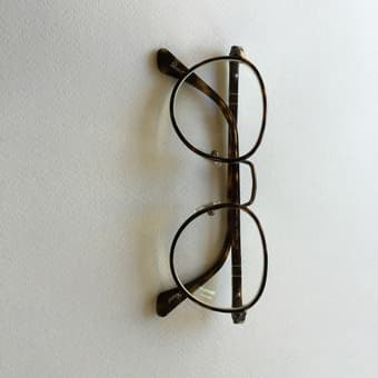 Persol Optical Glasses 1