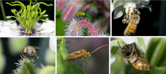 Learn Macro Photography at Stanford for $40 per Hour 1