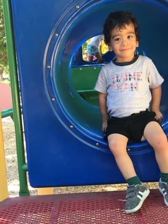 Desperately Seeking Sitter 1