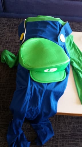 Costumes. Luigi, leonardo, flapper 1