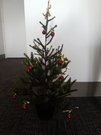 Christmas tree $10 1