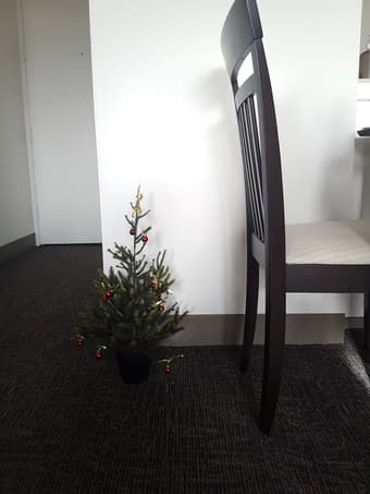 Christmas tree $10 2