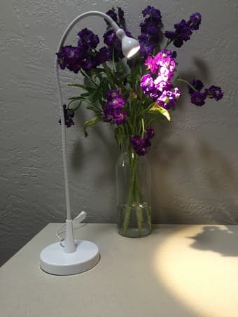 **** SUPER SALE **** 1