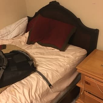 FREE bed frame, box spring, mattress (full) 1