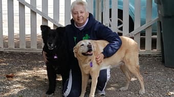 I need a home for myself and two 13 yr. old dogs 1