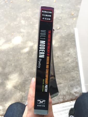 The Norton Anthology of Modern and Contemporary Poetry (Vol. 1 and 2) 3