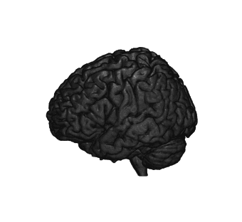 Research Assistants Needed 1