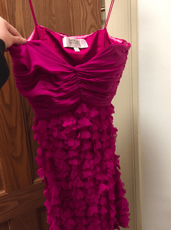 Badgley Mischka Dress Size 2, Like New 1