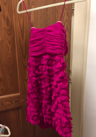 Badgley Mischka Dress Size 2, Like New 2