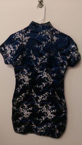 Blue/Silver Silk Dress Bought in Beijing, China 2