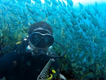 Road-trip to San Diego and may be further 2