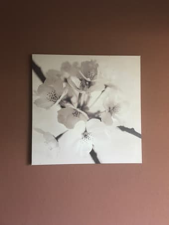 Canvas Wall Print 1