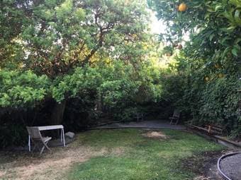 Furnished 1BR of a 4BR Apartment available immediately 4