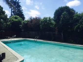 6 br - 2548 sq ft - Large spacious 2 story Palo Alto Home w Pool 1